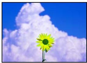 EPSON Workforce WF-2960 - Des images ou des photos sont imprimées dans des couleurs imprésvues - 1