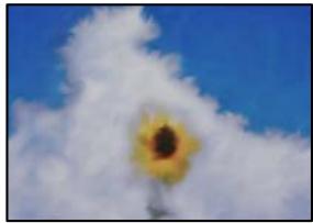 EPSON Workforce WF-2960 - Les photos copiees sont collantes - 1