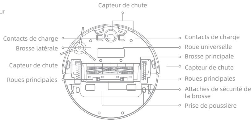 DREAME D10 PLUS - Présentation du produit - 2