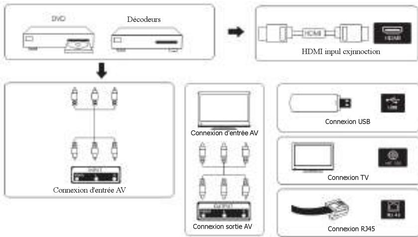 EDENWOOD ED50A03UHD-EL - Connexions TV - 2