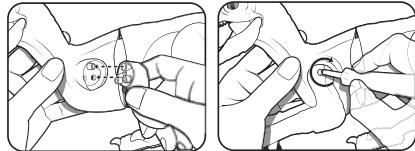LEXIBOOK RC Velociraptor - FONCTIONNEMENT - 1