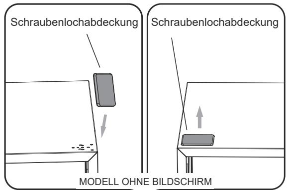 HISENSE RB440N4AFD - Seitenwechsel derTür - 7