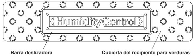 HISENSE RB440N4AFD - Cubierta del recipiente para verduras - 1