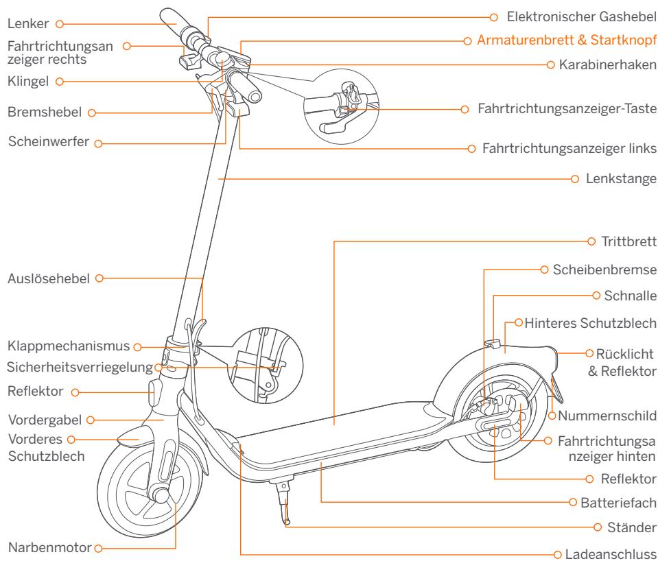 SEGWAY F40i NINEBOT - Diagramm - 1