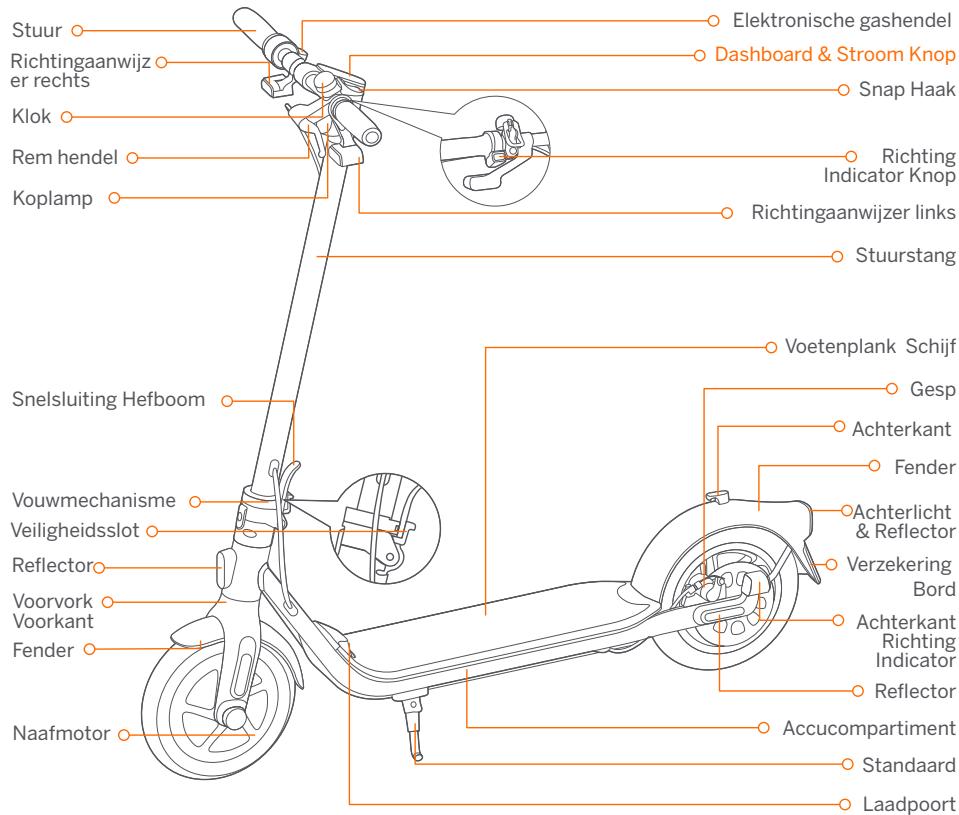 SEGWAY F40i NINEBOT - Diagram - 1