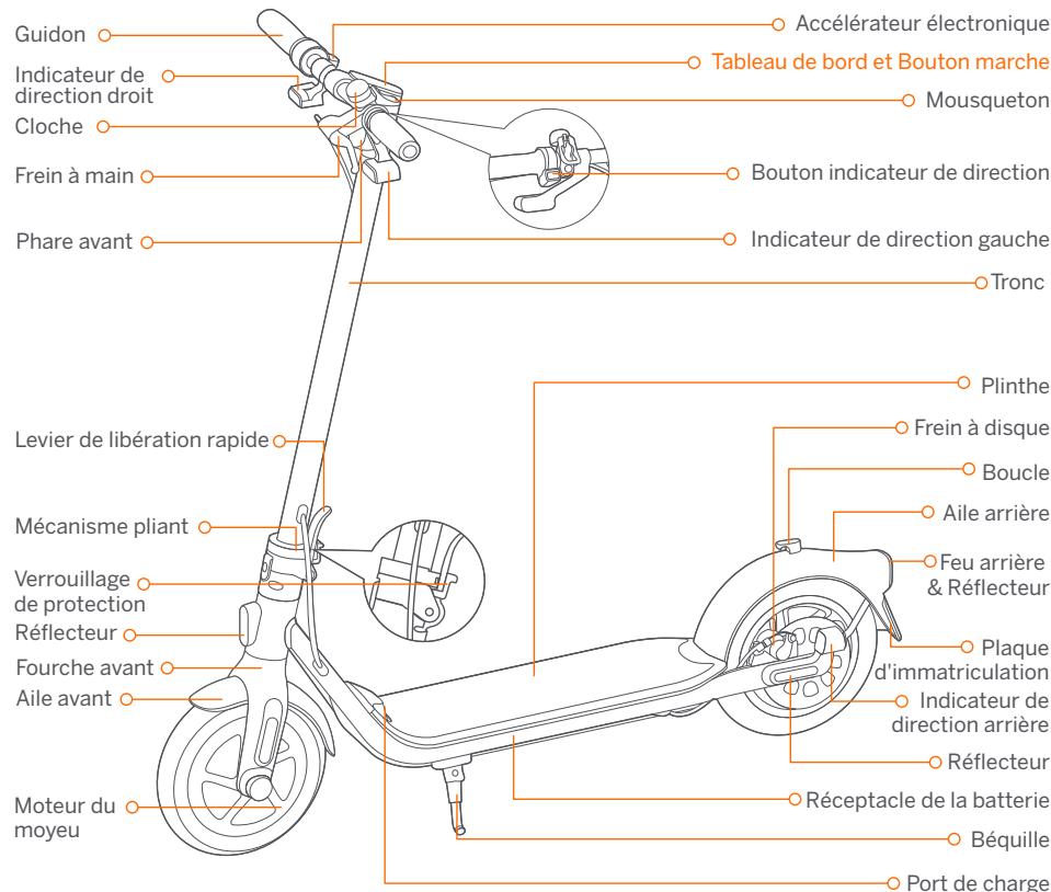 SEGWAY F40i NINEBOT - Diagramme - 1