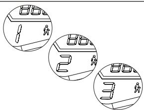 OCEAN DRIVE S9 PRO - VERWENDUNG DER ROLLERS - 4