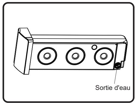 HISENSE DHQA902U - 4). Nettoyage de la boîte à eau - 2