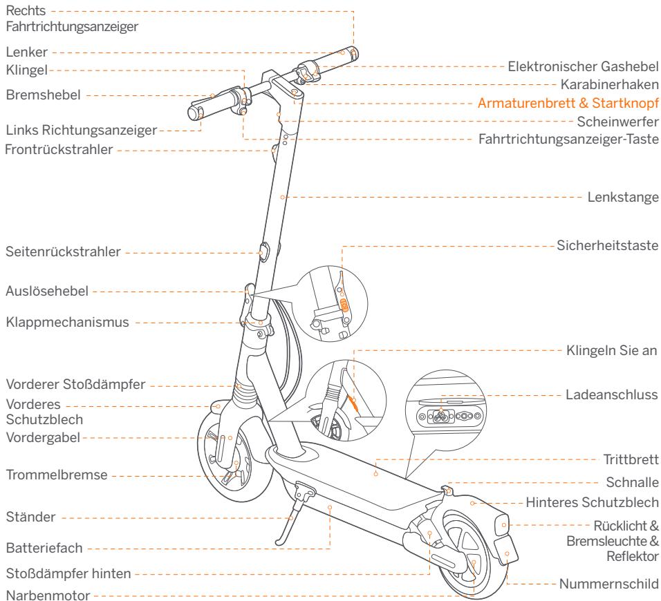 SEGWAY MAX G2 E - Diagramm - 1