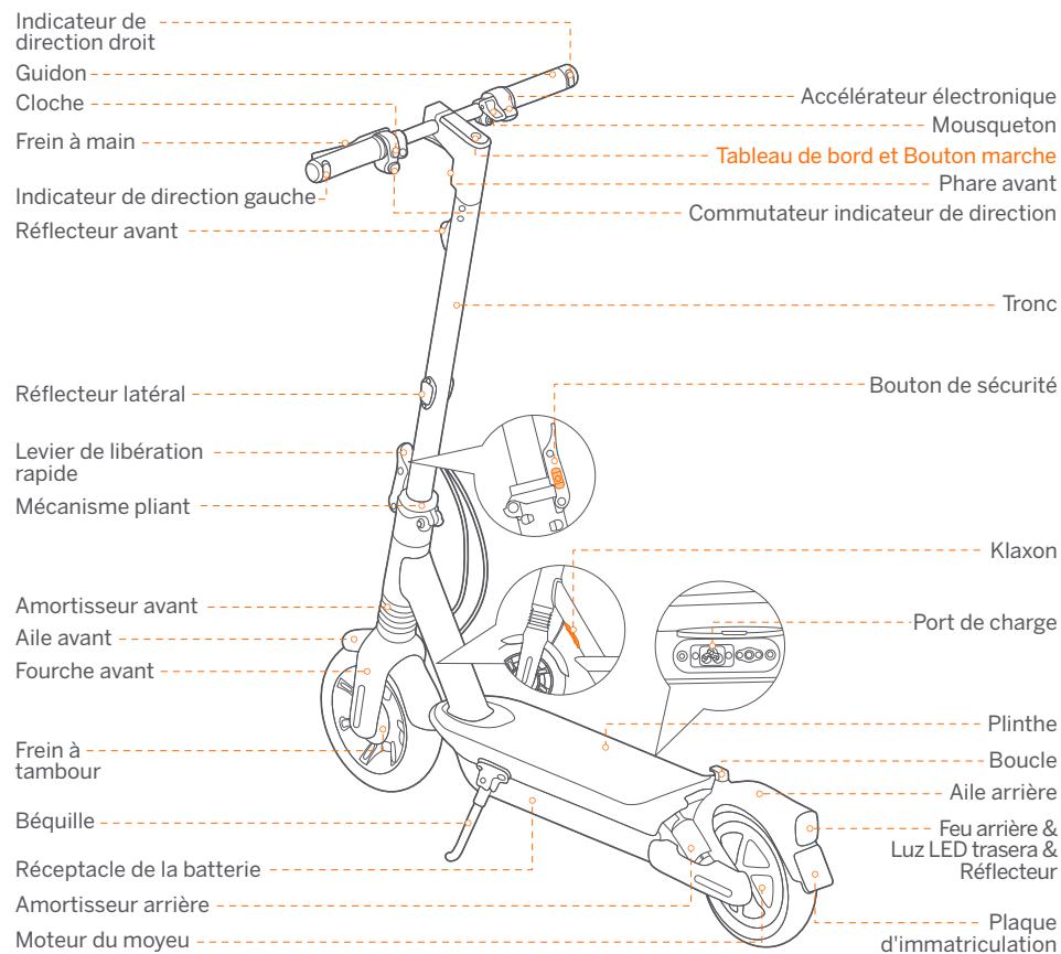 SEGWAY MAX G2 E - Diagramme - 1