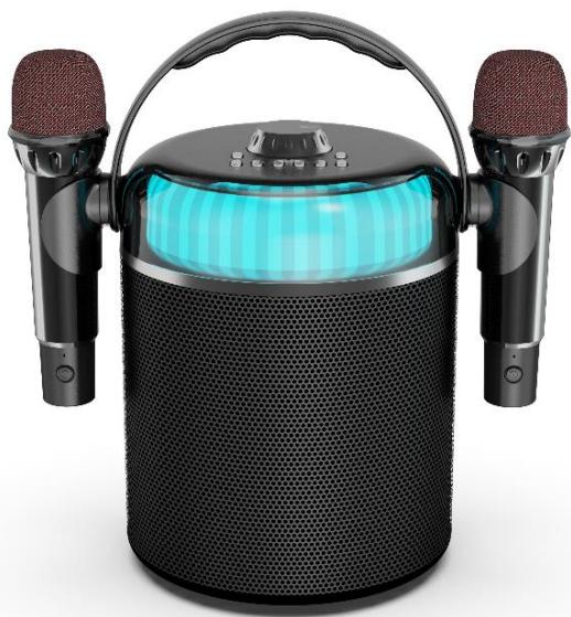 BOOMTONEDJ STAR-VOICE - 1