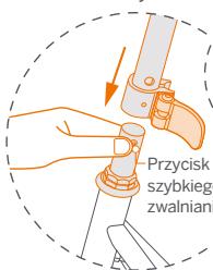 SEGWAY C15E - ZING C8, ZING C10 - 1
