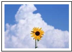 EPSON EcoTank ET-2840 - Impression sans marges impossible - 1