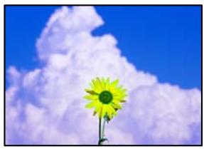 EPSON EcoTank ET-2840 - Des images ou des photos sont imprimées dans des couleurs imprévues - 1