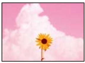 EPSON EcoTank ET-2840 - La qualité d'impression est mauvaise - 1