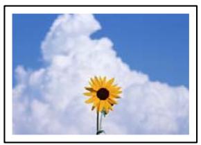 EPSON EcoTank ET-2840 - Copie sans marges impossible - 1