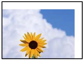 EPSON EcoTank ET-2840 - La position, la taille ou les marges de l'impression sont incorrectes - 1