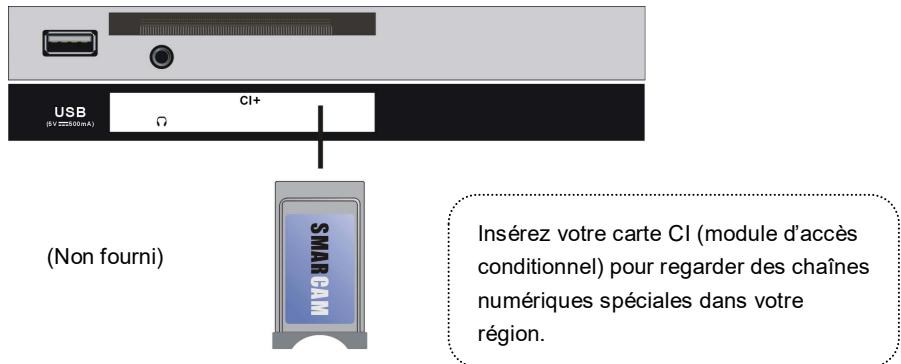 HIGH ONE HI2422HD-MM - CONNEXION DE CÂBLE COAXIAL - 3