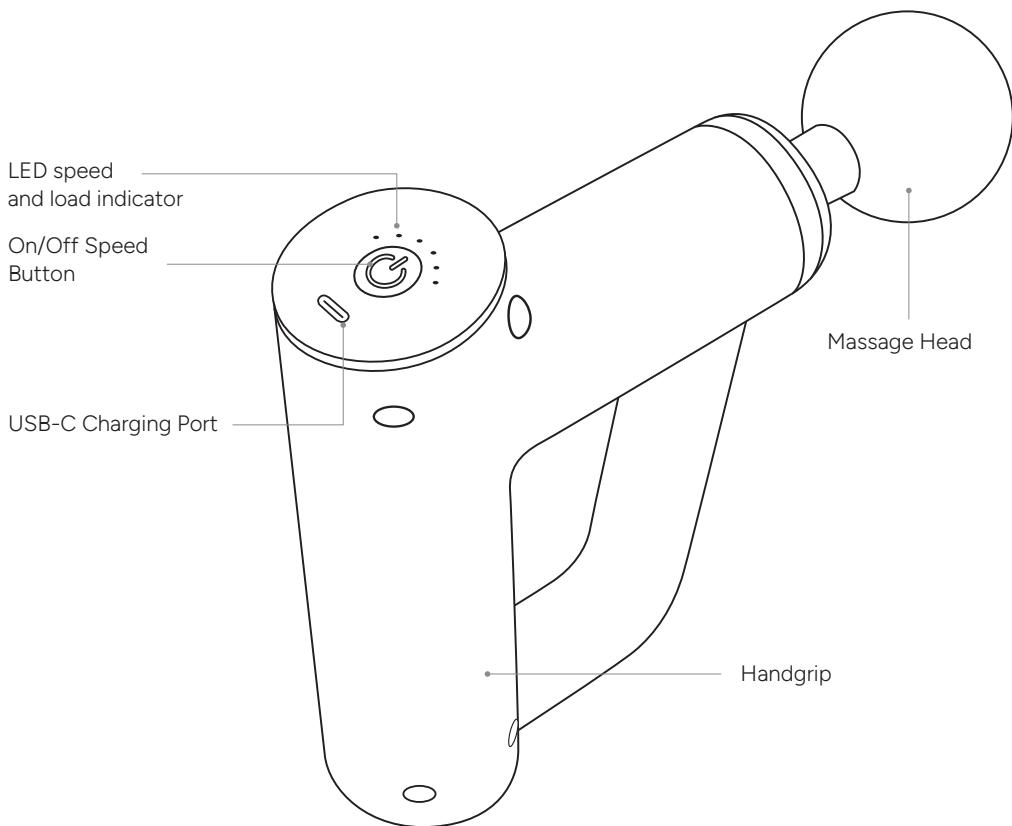 TERRAILLON 4 embouts – 6 vitesses - PRODUCT OVERVIEW - 1
