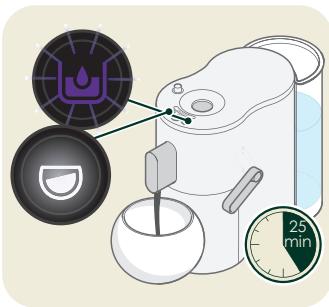 COFFEE B GLOBE - Détartrage - détartrer - 4