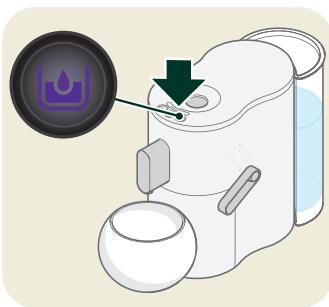 COFFEE B GLOBE - Détartrage - détartrer - 3
