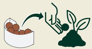 COFFEE B GLOBE - Élimination - 1