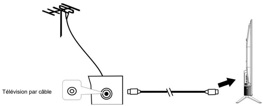 EDENWOOD ED75EA00UHD-GM - Connexion de l'antenne externe à l'unité - 1