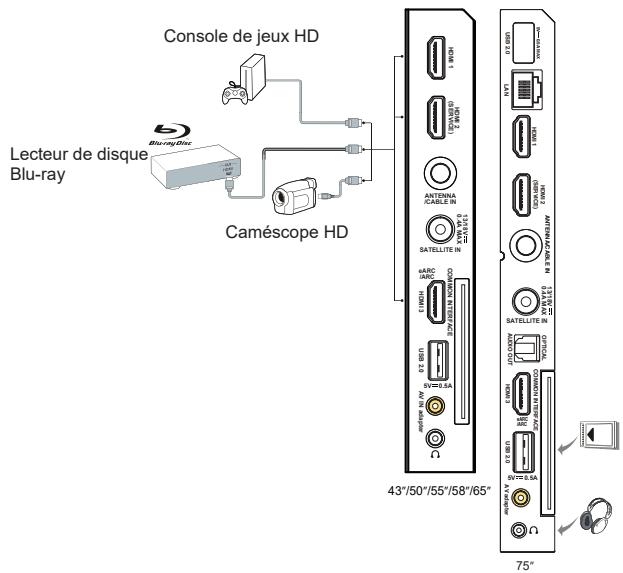 TCL 50P61B - Branchez l'alimentation et l'antenne - 2