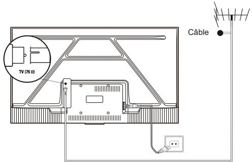 TCL 50P61B - Branchez l'alimentation et l'antenne - 1