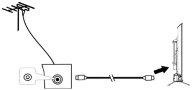 EDENWOOD ED43EA09UHD-GM - De externe antennene aansluiten op het apparaat - 1