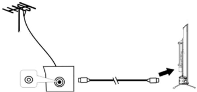 EDENWOOD ED43EA09UHD-GM - Connexion De L'Antenne Externe À L'Unité - 1