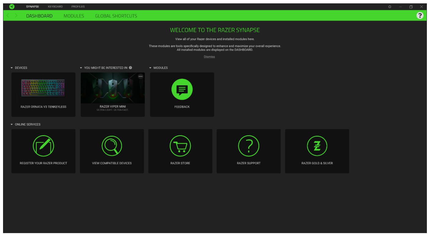 RAZER TKL Ornata V3 - Dashboard - 1
