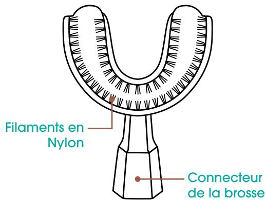 YBRUSH Nylon - 2.CARACTERISTIQUES - 1