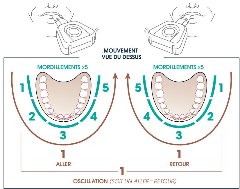 YBRUSH Nylon - RÉGLES À RETENIR POUR UN CYCLE DE BROSSAGE: - 4