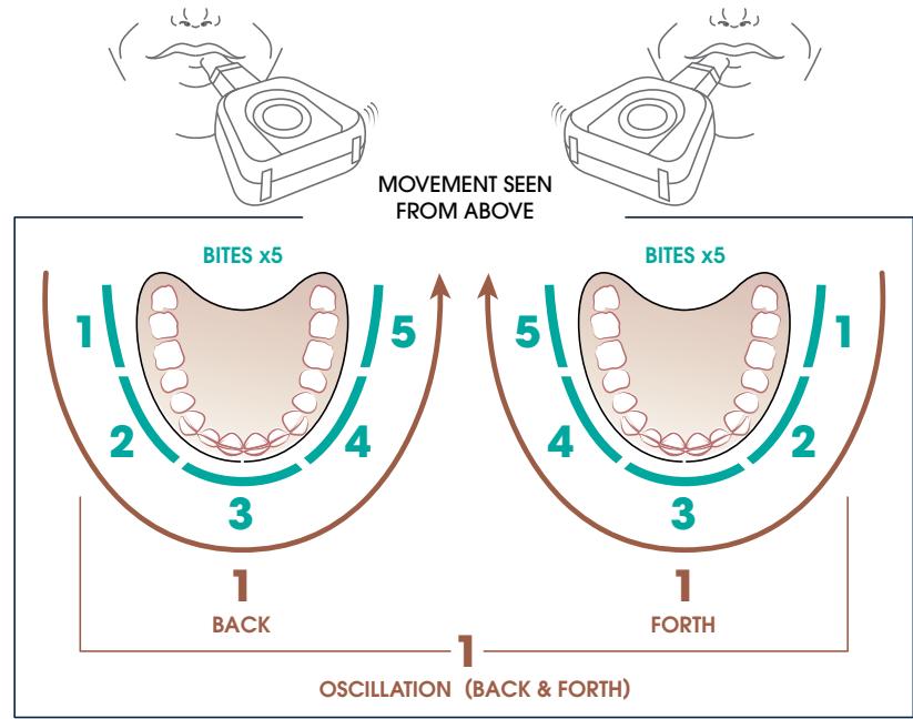 YBRUSH - RULES TO REMEMBER FOR A BRUSHING CYCLE - 3