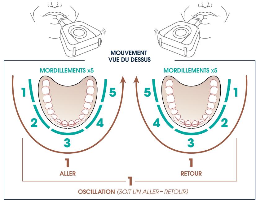 YBRUSH - Règles à retenir pour un CYCLE de brossage: - 2