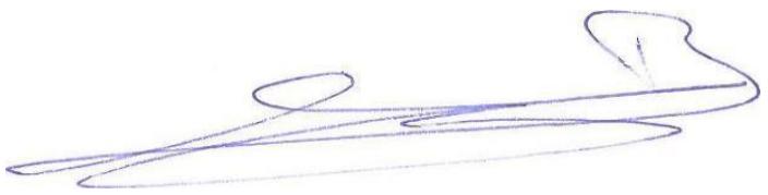 URBAN GLIDE ALL ROAD 4 - Contact details of the person authorized to edit the technical document: - 1