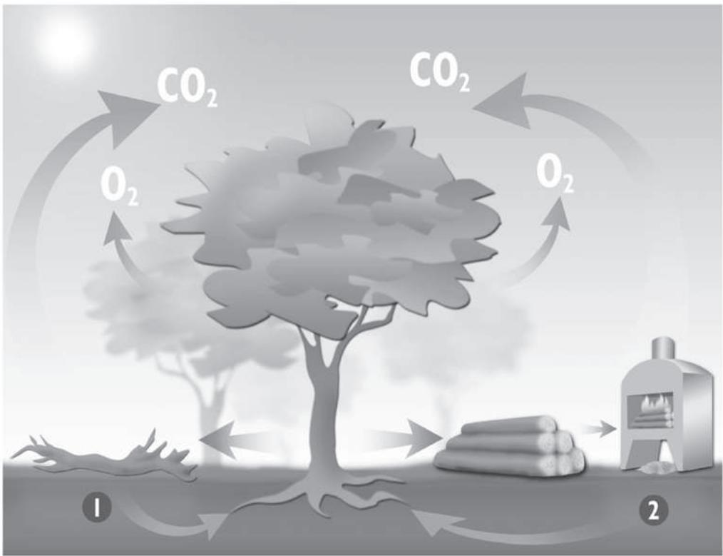 PANADERO ATLANTIC 3V / LOIRE 3V - 1
