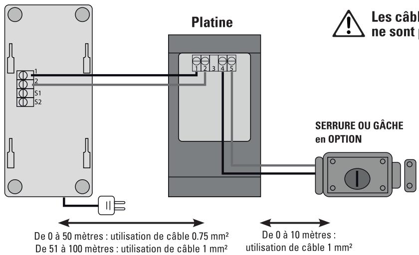 SCS SENTINEL AudioKit 3208D - C1-Schema de cablage - 1