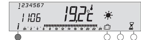 DELTA DORE Deltia 8.00 - 6050416 - Touche information - 1