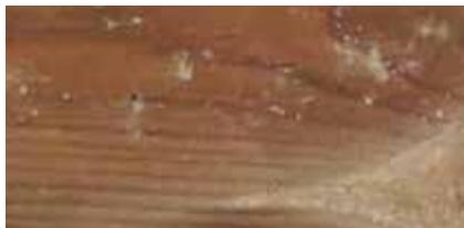 UBBINK hawaii - Holz ist ein Material, das lebt - 7