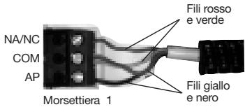 DIAGRAL DIAG38APX - - Collegamento - 1