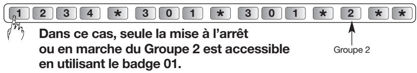 DIAGRAL DIAG45ACK - Accès restreint aux commandes - 4