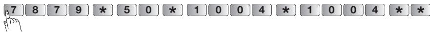 DIAGRAL DIAG45ACK - Reprogrammer le nouveau code d'accès principal du clavier - 19