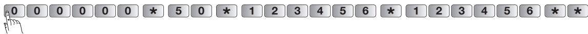 DIAGRAL DIAG45ACK - Reprogrammer le nouveau code d'accès principal du clavier - 18