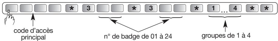 DIAGRAL DIAG45ACK - Accès restreint aux commandes - 3