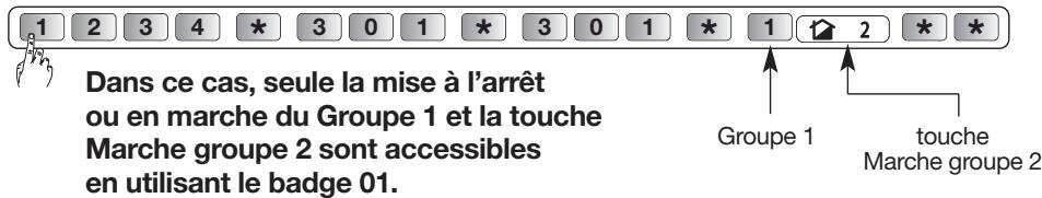 DIAGRAL DIAG45ACK - Accès restreint aux commandes - 7