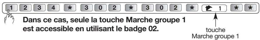 DIAGRAL DIAG45ACK - Accès restreint aux commandes - 2