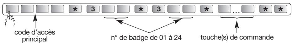DIAGRAL DIAG45ACK - Accès restreint aux commandes - 1
