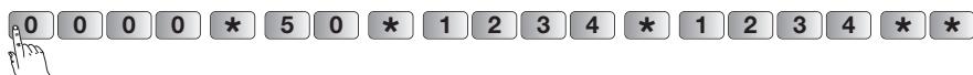 DIAGRAL DIAG45ACK - Reprogrammer le nouveau code d'accès principal du clavier - 17